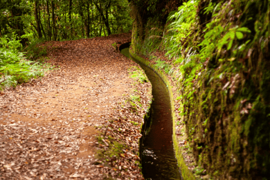 Madeira: PR 18 - Trasferimento per l'escursione a Levada do Rei