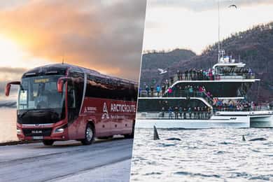 Tromsö: Valskådning på hybridbåt med naturskön bustrip