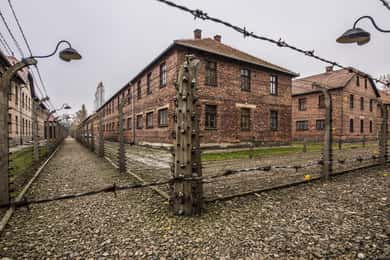 Из Кракова: экскурсия с гидом по Освенциму-Биркенау и транспорт