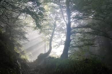 Witches, Ghosts, Executioners City tour