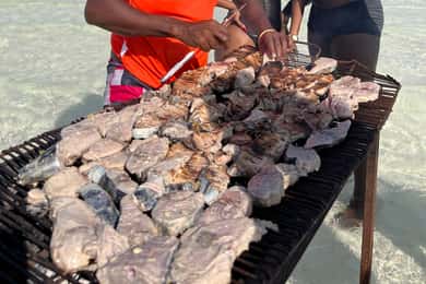 WATAMU: MALINDI: SARDEGNA ISLAND & MALINDI MARINE PARK