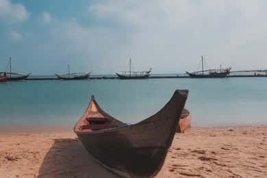 Doha: North and West of Qatar Private Combo Tour
