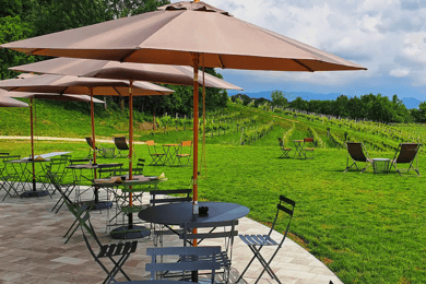 Conegliano: Tur i Prosecco-bakkerne og vinmarkerne