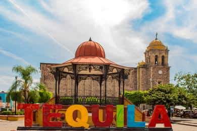 Guadalajara: Tequila Day Trip with Jose Cuervo Option