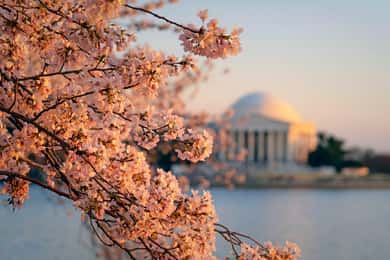 NYC: Philadelphia, Washington DC & Niagara Falls 3-Day Trip