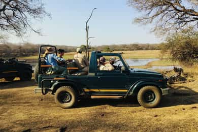 Desde Agra Excursión de 2 días y 1 noche al Safari de los Tigres de Ranthambore