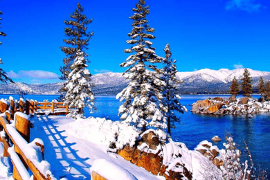 Från Oakland: Privat dagsutflykt till Lake Tahoe