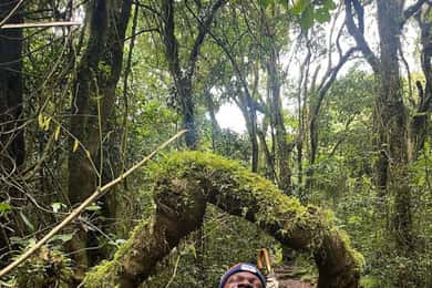 Moshi: Kilimanjaro Climb Marangu Route Guided Tour