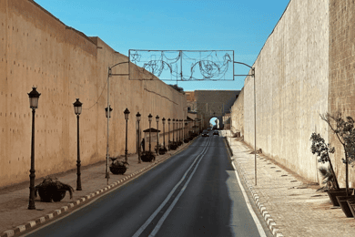Meknes: Guidet tur med entréer