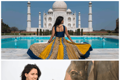 Delhi: Tour del Taj Mahal al amanecer y Elephant SOS con traslados