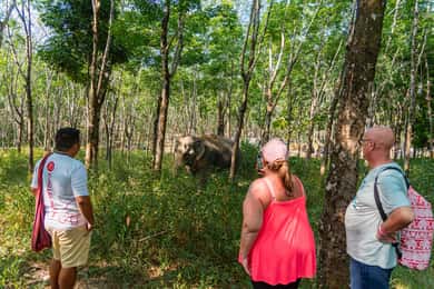 Tour di Khaolak con Eco Guida Adventure