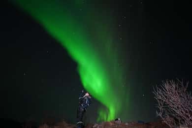De Tromsø: Visita à aurora boreal com bebidas quentes e fotografias