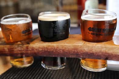 Zagreb Craft Beer Tour & Trip naar de bierfontein van Slovenië
