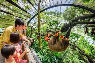 Zoo de Singapur: Ticket electrónico de entrada de 1 día