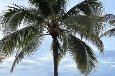 Oahu: Explore the North Shore with Bike and Snorkel Rental