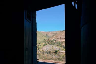 Douro Valley: PRIVATE TOURS with 1 Wine Tasting