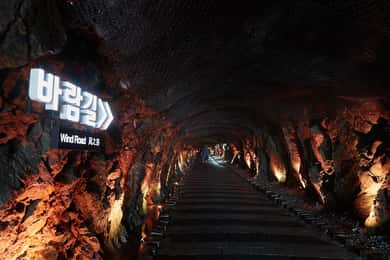 Suwon: Hwaseong Fortress Day Trip from Seoul