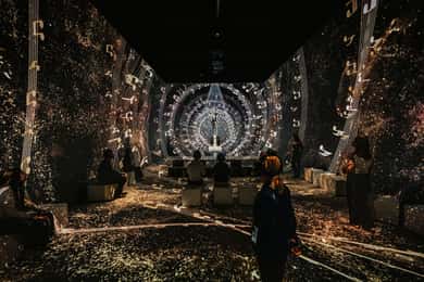 Johann Strauss Museum - The Immersive Experience in Vienna