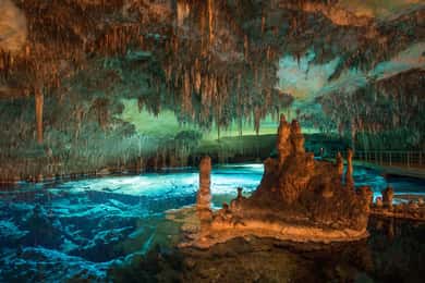 Mallorca: Drach and Hams Caves, and Porto Cristo Day Tour
