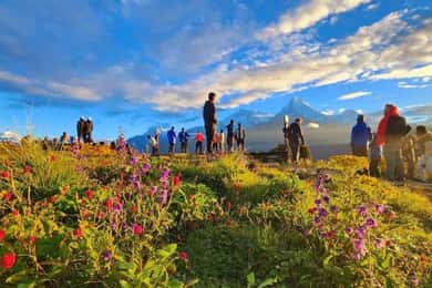 Pokhara: 3- days Poon Hill Trek