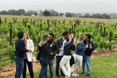 São Francisco: Excursão de meio dia a Napa Valley com provas de vinho