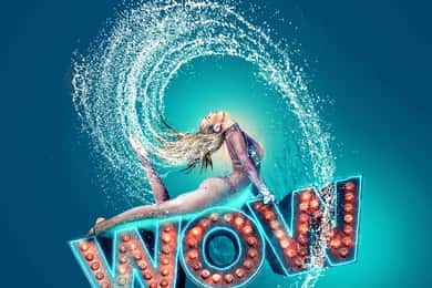 WOW - The Vegas Spectacular в Rio Hotel & Casino