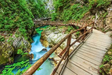 From Bled: Self-Guided E-Bike Tour to Vintgar Gorge