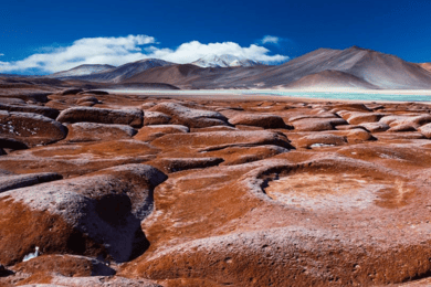 Triple Tour: Piedras Rojas, Altiplanic Lagoons, and Laguna Chaxa.
