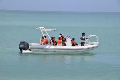 Boa Vista: 4h de passeio de barco com snorkeling e visita à ilha Djeu