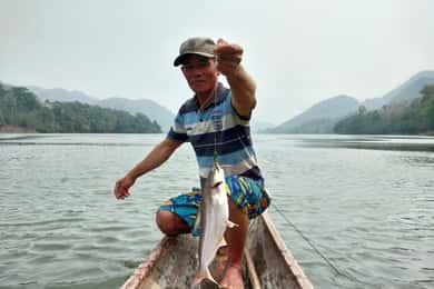 Luang Prabang: Mekong Fishing with a Local Fisherman & Lunch