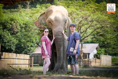Chiang Mai Elephant Jungle Sanctuary &Mama Noi Cooking Class
