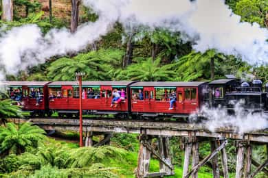Melbourne: Puffing Billy & Healesville Sanctuary Scenic Tour