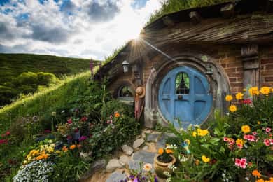 From Auckland: Private tour Hobbiton Movie Set Day Trip