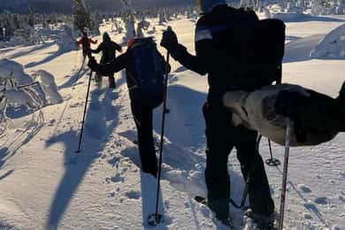 Sälen: Snowshoe Rental