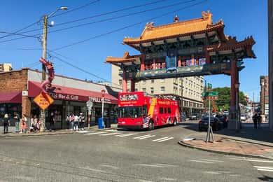 Seattle: City Sightseeing Hop-On Hop-Off Bus Tour