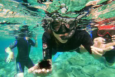 Heraklion: Viagem de snorkeling para principiantes