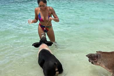 Bahamas : Croisière pour nager avec des cochons et faire de la plongée avec masque et tuba avec déjeuner et rhum