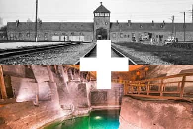 Krakow: Auschwitz-Birkenau and Salt Mine Guided Tour