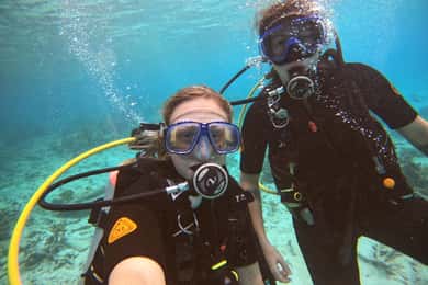 Bonaire: Discover Scuba Diving Experience