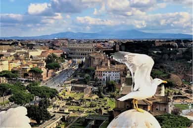 Rome : Le Vatican, le Colisée et les Grandes Places avec déjeuner et voiture