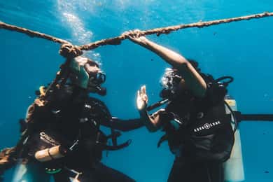 Introduction Dive for Beginners at Koh Kood or Koh Rang