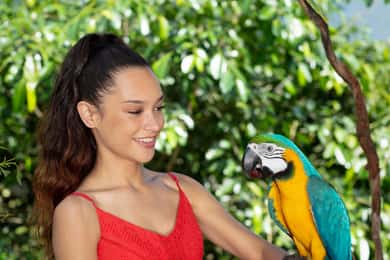 Bespoke Birdworld - An Intimate Experience!