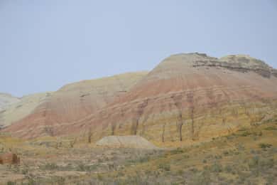Almaty: Tagestour in den Altyn-Emel-Nationalpark mit Guide
