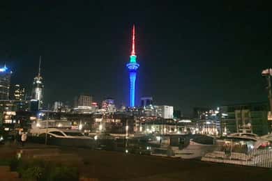 Auckland: Airport Private Transfer