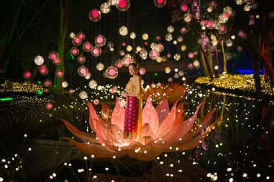 Festival della Luce al Parco Na Satta: Un momento magico che capita una volta all'anno