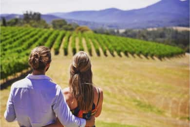 Yarra Valley Foodies Tour with Chandon and Kangaroo Safari!