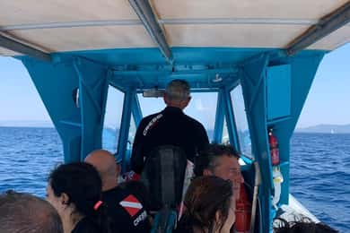 Maremma: Sea's Treasures - Tour and snorkelling on a dinghy