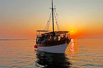 Fazana: Delfinjagd auf den Brijuni-Inseln Safari mit Abendessen