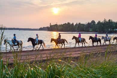 Brudenell: Family-Friendly Horse Ride goes on the Beach