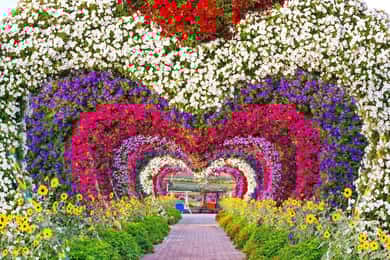 Dubai: ingresso al Miracle Garden e al Global Village con trasferimento